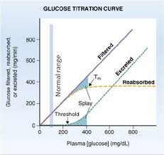Splay Glucose Titration Curve Google Search Splay Reps