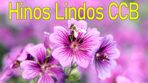 The actual contents of the file can be. Hinos Ccb 2021 Congregacao Crista No Brasil Top Ccb Cantados Hinos Youtube