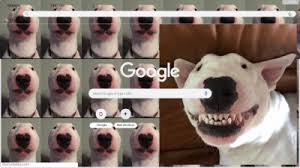 Barkley is energetic and playful, but is not anthropomorphized in the way that rowlf and other characters are. Walter Chrome Theme Themebeta
