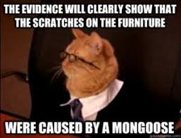 Hilarious moment texan lawyer appears via court zoom with a kitten filter, frantically tries to fix it and assures judge he is a real attorney. Classic Cat Lawyers Mongoose Defense In 2020 Legal Humor Cat Jokes Lawyer Jokes