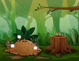 Image result for tbn:ekRZeqiUkU8b5M::www.hormiga.org/fondosescritorio/wallpapers/Paisajes-y-naturaleza/fotos/Paisajes-22.jpg