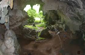 Indonesia: Archaeologists find world's oldest animal cave painting