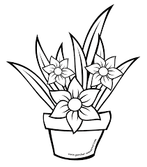 Sketsa bunga matahari untuk mewarnai. Mewarnai Bunga Dalam Pot Contoh Gambar Mewarnai