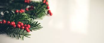 fondo-banner-regalos-de-navidad - Vivergreen