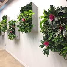 Interior Gardens Austin Austin S Premier Plant Interiorscaping Professionals Interior Plants Plant Wall Unique Plants