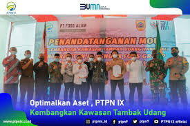 Check spelling or type a new query. Category Archive For News Ptpn9