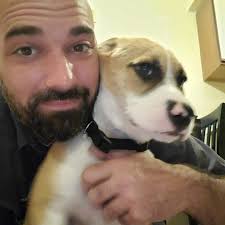 Is a 4 ohm dvc sub suitable for a bridged 2 ohm amp?