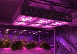 10 Best Led Light For 4x4 Grow Tent 2020 For Fast Growth