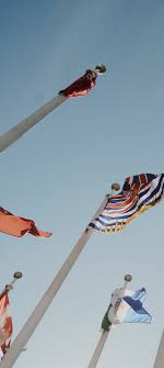 LinguaLink by Hannah Nicol