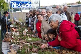 35 Pilzausstellung Rostock Heute