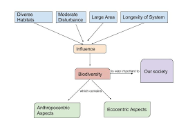 Biodiversity In Our Lives Geog 30 Our Perspectives
