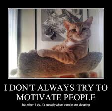 When I M Awake You Re Awake Lolcats Lol Cat Memes Funny Cats Funny Cat Pictures With Words On Them Funny Pictures Lol Cat Memes Lol Cats