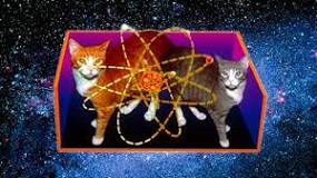 Cómo encontraron la forma de salvar al gato de Schrödinger ...