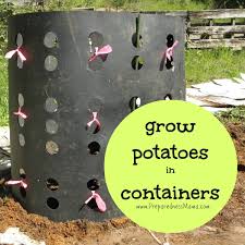 Cute, but just a little dated for my style. Creative Ways For Growing Potatoes In Containers Preparednessmama