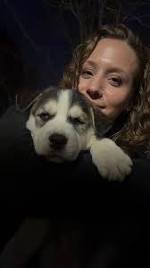 I wonder if my lucky Blissey is in danger from guys named "Jack."