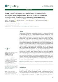 Image result for Flabellariopsis acuminata