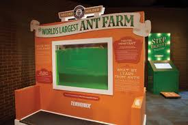 How big is the world's largest ant? Terminix Service Awarded Guinness World Record For World S Largest Ant Farm Pct Pest Control Technology