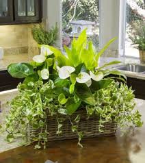 Diy Houseplant Garden Indoor Plants Planter Arrangements Indoor Planter Arrangement