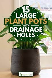 The best type of flower pot has drainage holes in the bottom, and you should always shop for pots that drain. 15 Large Plant Pots With Drainage Holes Garden Tabs