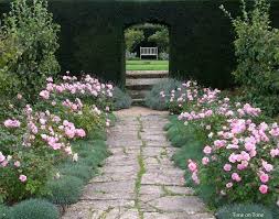 Tintinhull Gardens Path With Dianthus And Shrub Rose Border Bet It Smells Good Too Rose Garden Landscape Garden Shrubs Beautiful Gardens