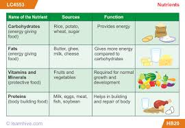 learnhive cbse grade 5 science food lessons exercises