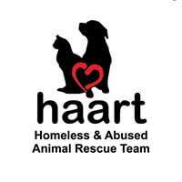 When did safe rescue start in karratha wa? Home Homeless Abused Animal Rescue Team