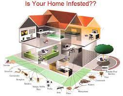 We believe in the quality and effectiveness of our pest control solutions, and back them up with our 100% satisfaction guarantee. Pest Control Services Krb Pest Control