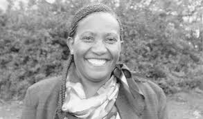 Presse 1-05cyan komplett.qxp