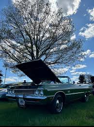 Image result for Rallye Green 1969 Fury