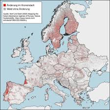 Leere europakarte zum ausdrucken pdf pdf formulare online drucken pdfs online. Neue Waldkarte Europas Walder Werden Lichter Spektrum Der Wissenschaft