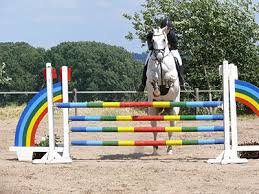 » weitere 15 übersetzungen für springen innerhalb von kommentaren. Springreitenpferde