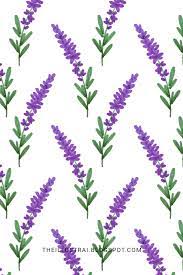 Who is the owner of lavender flower drawing? How To Draw Lavender In 6 Easy Steps The Illustrai