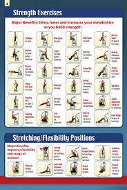 Exercise And Workout Posters T Zone Vibration