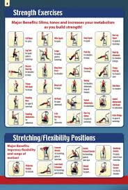 Exercise And Workout Posters T Zone Vibration