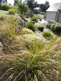 Epingle Sur Jardin Sec Et De Bord De Mer