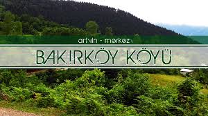 The site owner hides the web page description. Artvin Merkez Bakirkoy Koyu Artvin E Dair