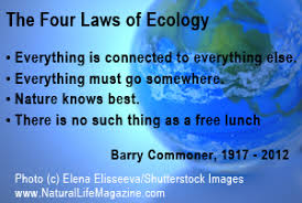 Quotes about green living, minimalism, and social change via Relatably.com