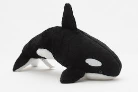 Wissenschaftler haben nun festgestellt, dass viele. Kuscheltiere Biz Die Welt Der Kuscheltiere Orca Willy Schwertwal Kuscheltier 21 Cm