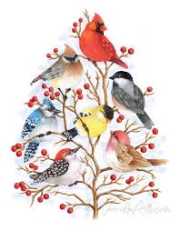 Artistic Bird On Tree Drawing Coloring Demonstration Feathery Fluffy Backyard Birds Copic Markers Colored Pencils