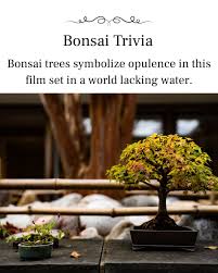 National Bonsai Foundation (@nbfbonsai) · Washington D.C., DC