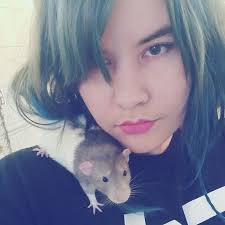 If You Haven't Smiled Today, Meet Darius, The Rat Who Was Taught To Paint