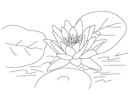 Free Printable Lotus Coloring Pages For Kids Mandala Coloring Mandala Coloring Pages Lotus Flower Colors
