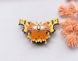 Image result for Polygonia c-album