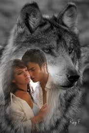 Pin On Wolf
