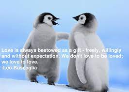 Penguins are a very cute birds who walk upright. Penguin Love Quotes Quotesgram