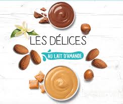 Recette Du Gateau Moelleux Citron Coco Vegan Hervecuisine Com