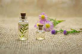 Essential oils will also repel other pests. Are Essential Oils Good For Killing Ants The Diy Guide School Of Bugs