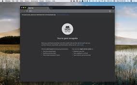 Use Incognito Mode In Google Chrome For Private Browsing Incognito Google Tricks Google Chrome