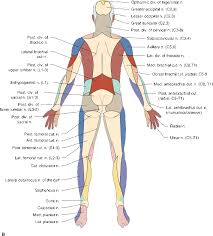 Image result for Neurologic Lesion Localization