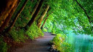 Maybe you would like to learn more about one of these? 4k Nature Pc Wallpapers Top Free 4k Nature Pc Backgrounds Wallpaperaccess